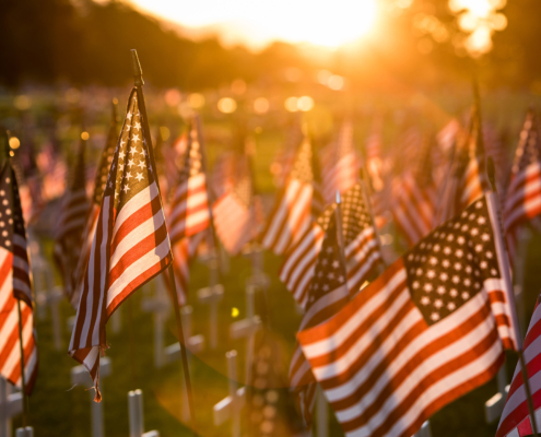 Field of American flags at Sunset