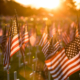Field of American flags at Sunset